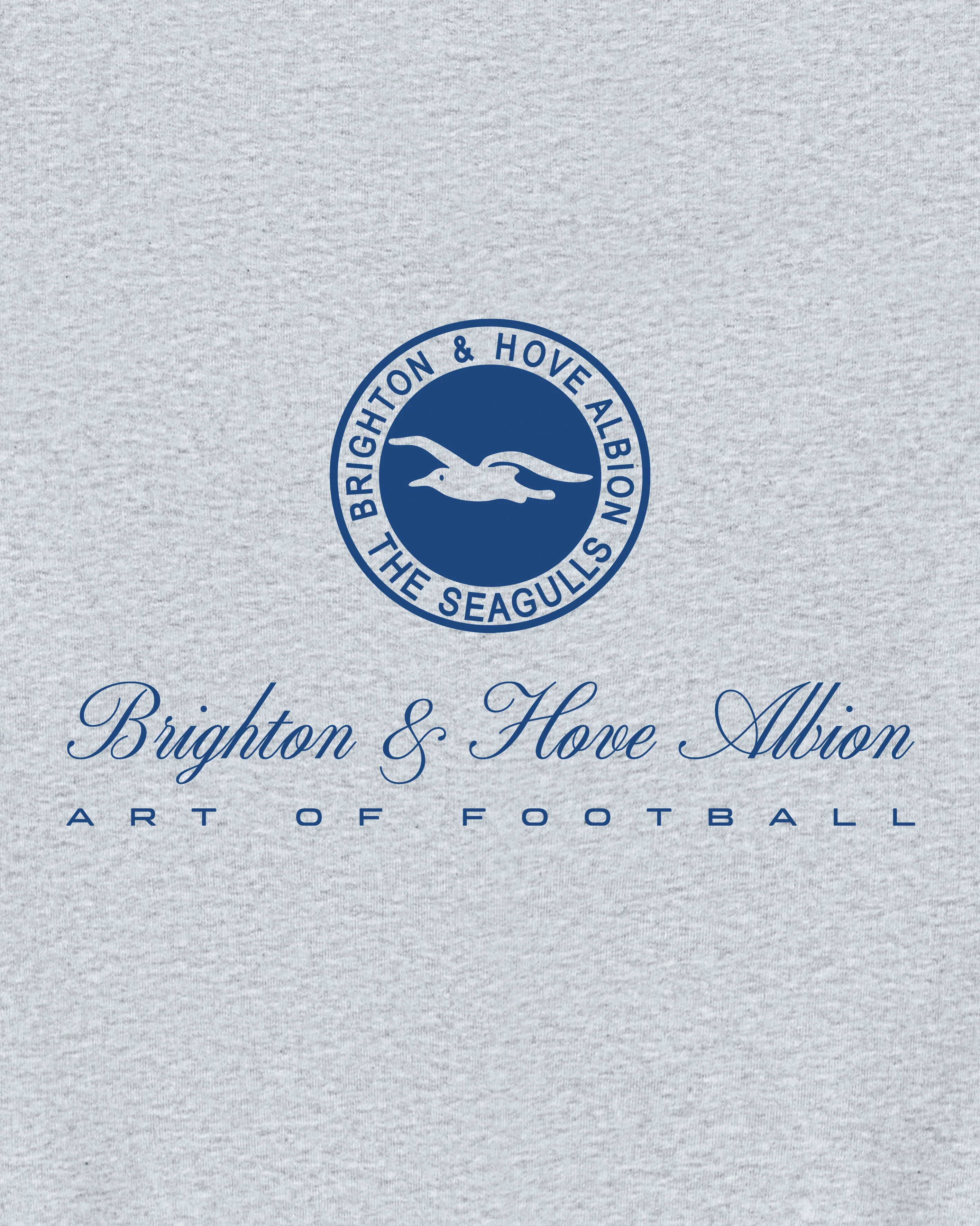 Brighton Heritage Printed Hoodie - Image 4